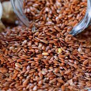 Flax Seed Oil