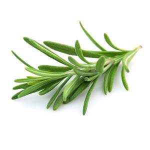 Rosemary Oil