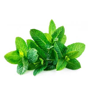 Spearmint Oil