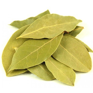 Bay leaf oil