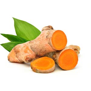 Turmeric Root Oil