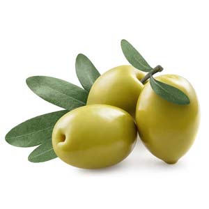 Olive Oil